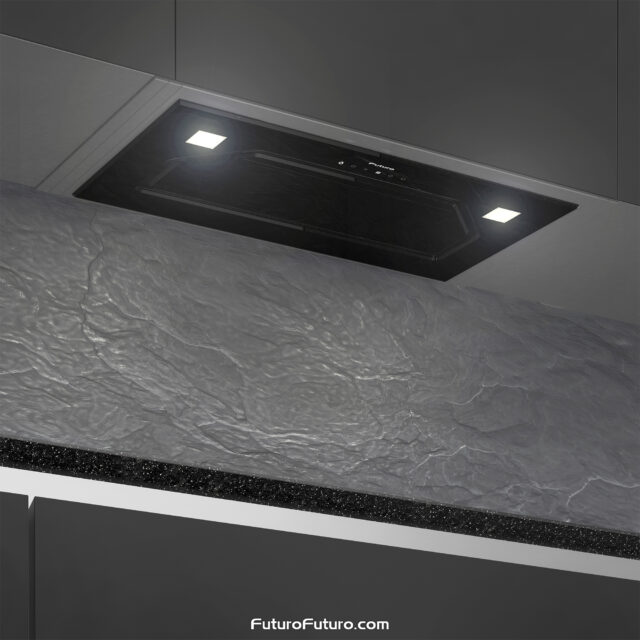 Side view of the 22-inch Bravia Black insert range hood showing its elegant profile.