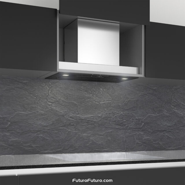 Modern kitchen featuring the 22-inch Bravia Black insert range hood by Futuro Futuro.