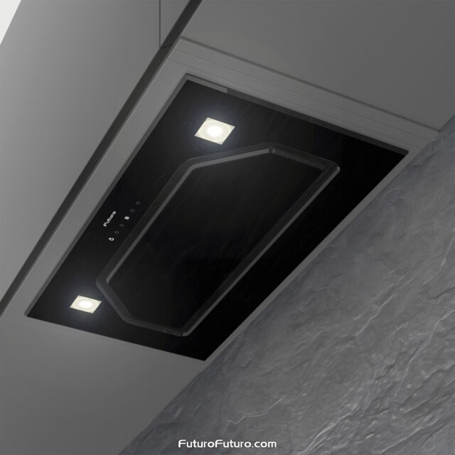 Energy-efficient LED lights illuminating the cooking surface from the Bravia Black range hood.