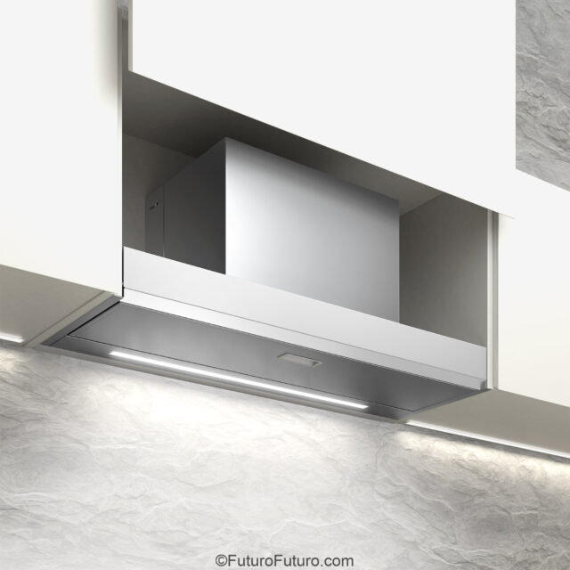 Modern kitchen with built-in Glide Insert range hood