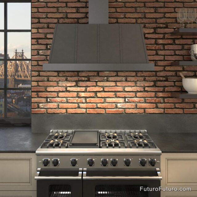 Italian-Made 48" Ducted Range Hood with Low Sone Level and Easy-to-Reach Control Buttons