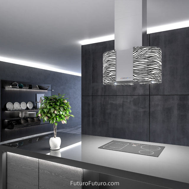 Tempered glass and stainless steel range hood | Stylish kitchen hood