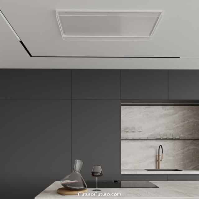 Premium 48-inch Alina Wall Range Hood in a stylish kitchen