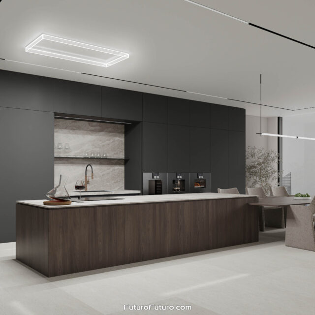 Premium 48-inch Alina Ceiling/Soffit Range Hood in a stylish kitchen