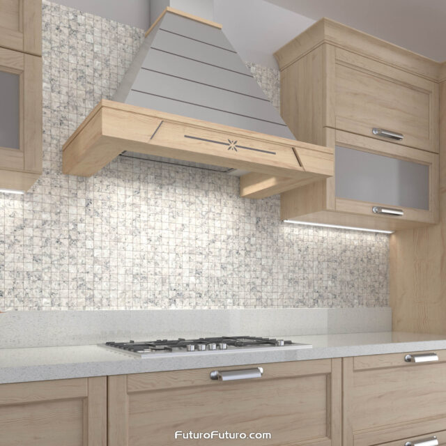 Wall mount range hood with versatile ducted or ductless functionality