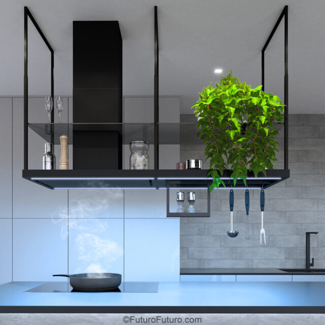 Black island hood with integrated glass shelf