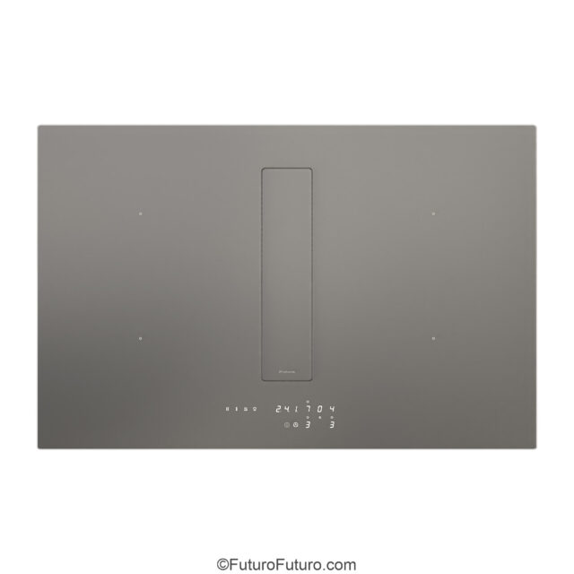 Charcoal induction cooktop with touch control and integrated hood